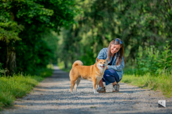 Photographe canin Haute Savoie 74