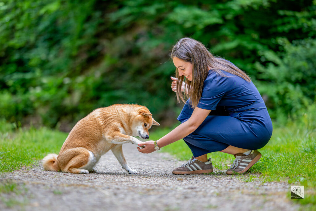 Photographe canin (10 sur 10)