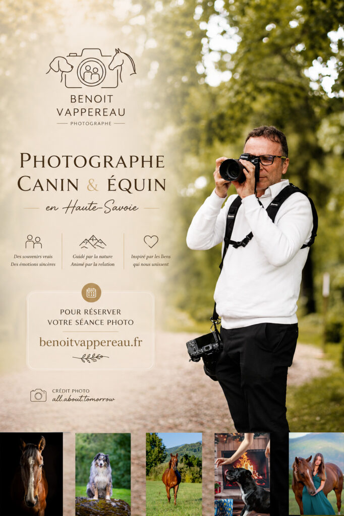 Photographe canin et équin portrait