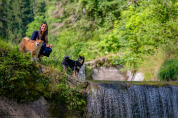 Photographe canin