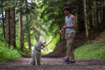 photographe canin Savoie Haute Savoie